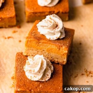 Creamy Pumpkin Pie Bars with Gingersnap Crust 23 pumpkin pie bars close up