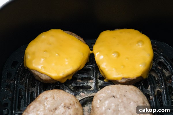Cheese melted on turkey patties in air fryer