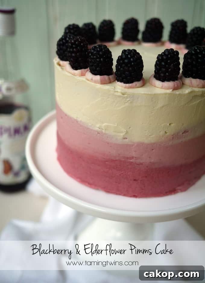 Blackberry and Elderflower Pimms Layer Cake Recipe 2 Blackberry and Elderflower Pimms Layer Cake