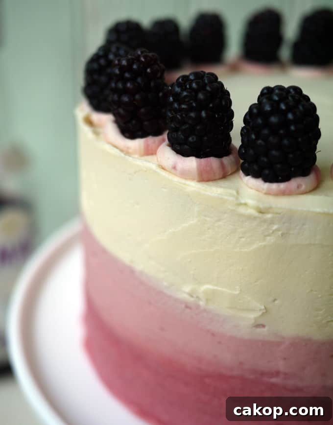 Blackberry and Elderflower Pimms Layer Cake Recipe 4 Blackberry and Elderflower Pimms Layer Cake