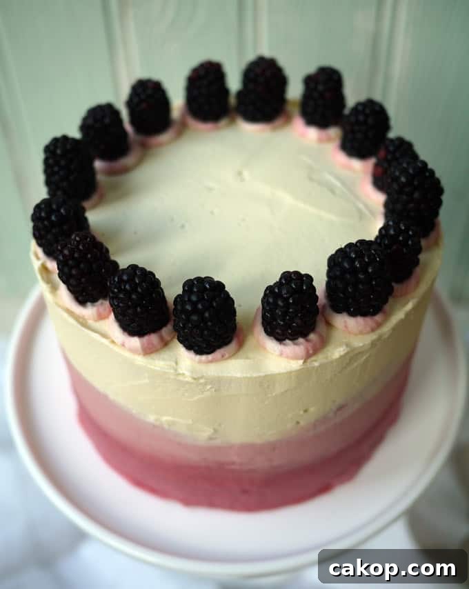 Blackberry and Elderflower Pimms Layer Cake Recipe 5 Blackberry and Elderflower Pimms Layer Cake