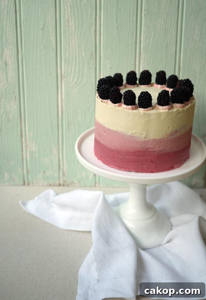 Blackberry and Elderflower Pimms Layer Cake Recipe 6 Blackberry and Elderflower Pimms Layer Cake