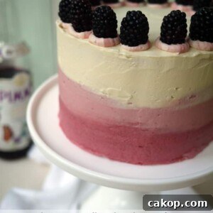 Blackberry Elderflower Pimms Layer Cake