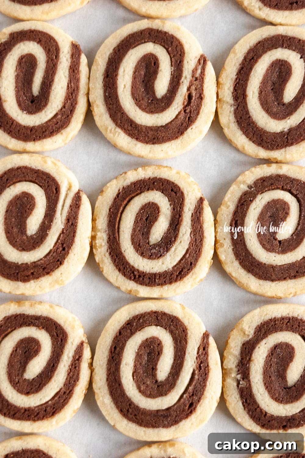 Chocolate Pinwheel Cookies Recipe — Swirled Cocoa Butter Cookies 2 Overhead image of Chocolate Pinwheel Cookies in rows | All images © Beyond the Butter™