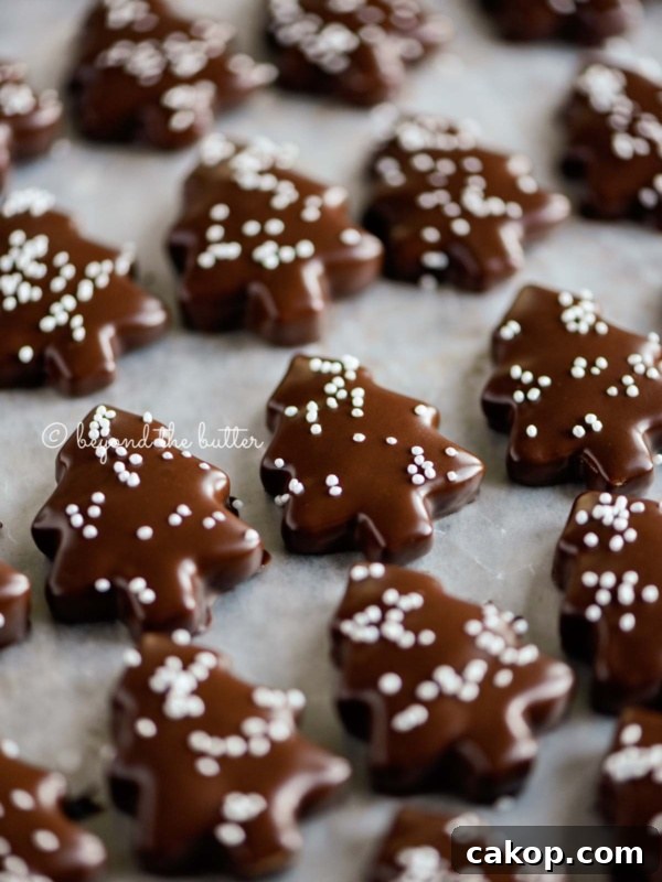 Chocolate Pinwheel Cookies Recipe — Swirled Cocoa Butter Cookies 11 Close up image of Chocolate Dipped Graham Cracker Chrismtas Trees topped with white nonpareils on a wax paper lined baking sheet.