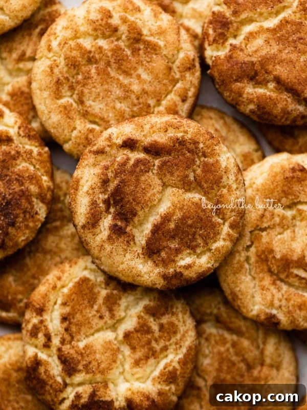 Chocolate Pinwheel Cookies Recipe — Swirled Cocoa Butter Cookies 12 Piled snickerdoodle cookies on a parchment paper lined baking sheet.