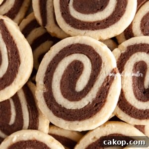 Chocolate Pinwheel Cookies Recipe — Swirled Cocoa Butter Cookies 13 Overhead image of Chocolate Pinwheel Cookies.