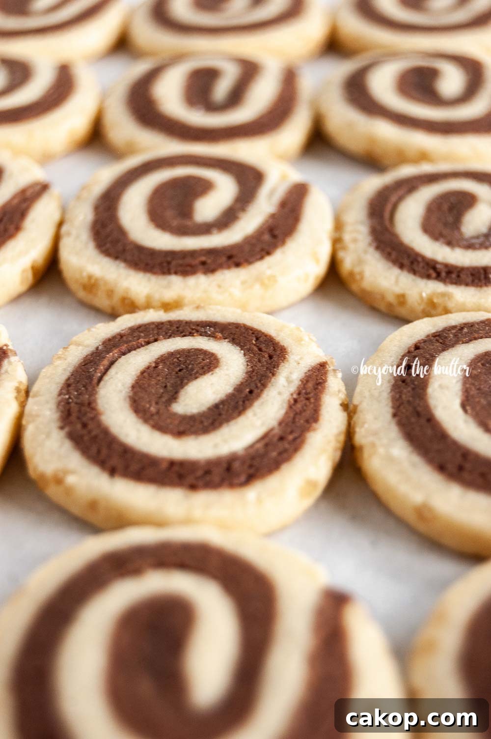 Chocolate Pinwheel Cookies Recipe — Swirled Cocoa Butter Cookies 4 Angled image of Chocolate Pinwheel Cookies in rows | All images © Beyond the Butter™