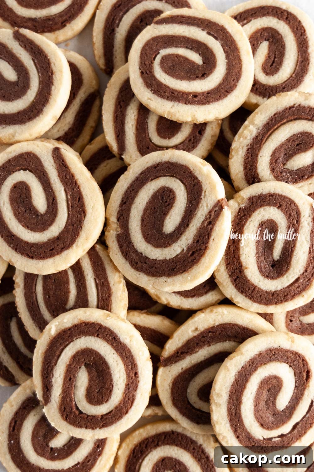 Chocolate Pinwheel Cookies Recipe — Swirled Cocoa Butter Cookies 5 Overhead image of Chocolate Pinwheel Cookies | All images © Beyond the Butter™