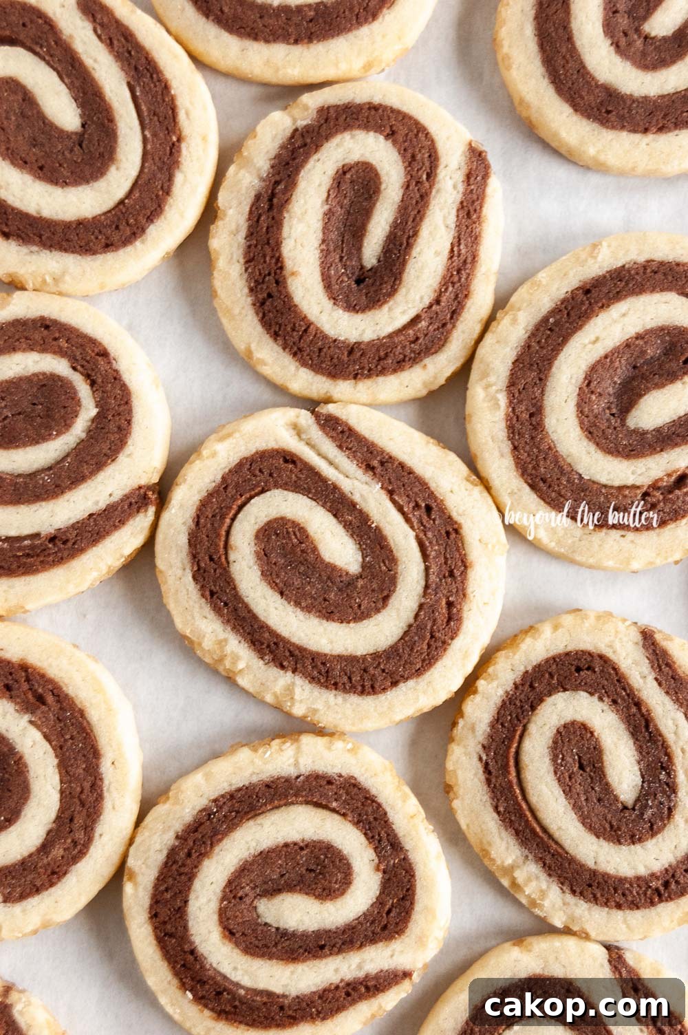 Chocolate Pinwheel Cookies Recipe — Swirled Cocoa Butter Cookies 7 Close up image of Chocolate Pinwheel Cookies | All images © Beyond the Butter™
