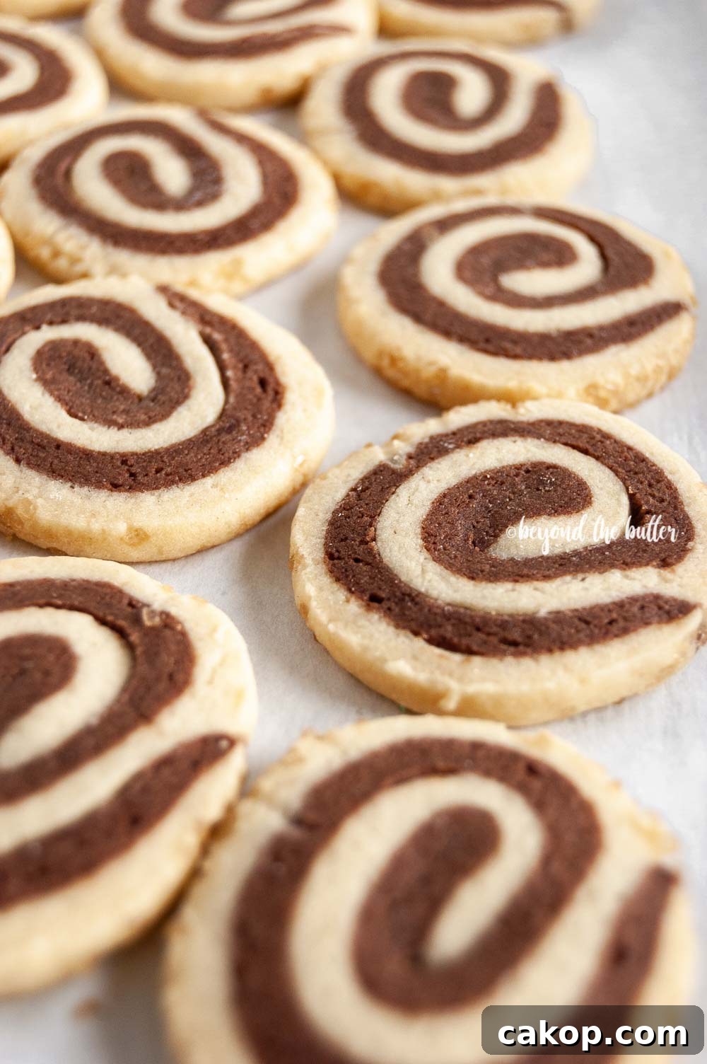 Chocolate Pinwheel Cookies Recipe — Swirled Cocoa Butter Cookies 8 Close up image of Chocolate Pinwheel Cookies | All images © Beyond the Butter™