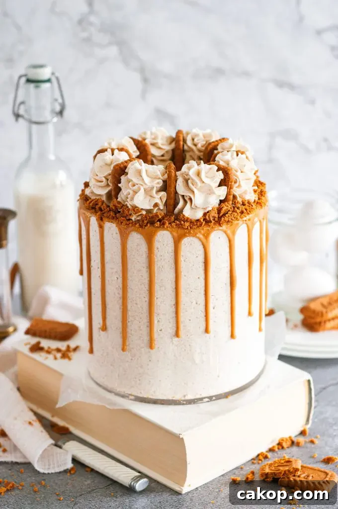 A white frosted cake covered in a golden brown cookie butter drip and topped with biscoff cookies between frosting swirls.