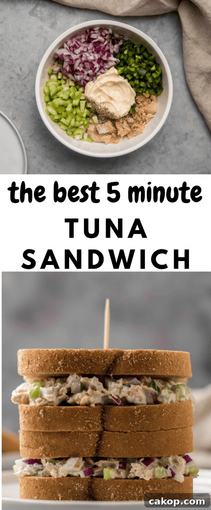 5 minute tuna sandwich recipe