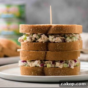 5 minute Tuna sandwich recipe