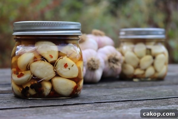 Pickled Garlic