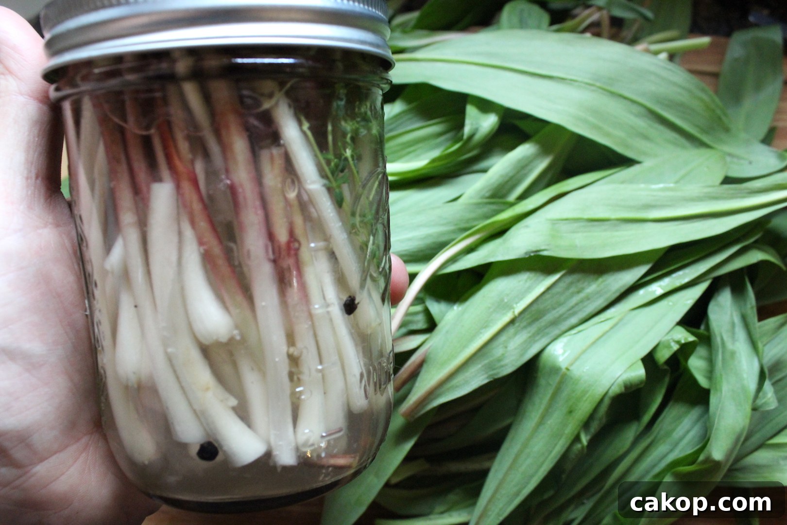 Pickled Ramps
