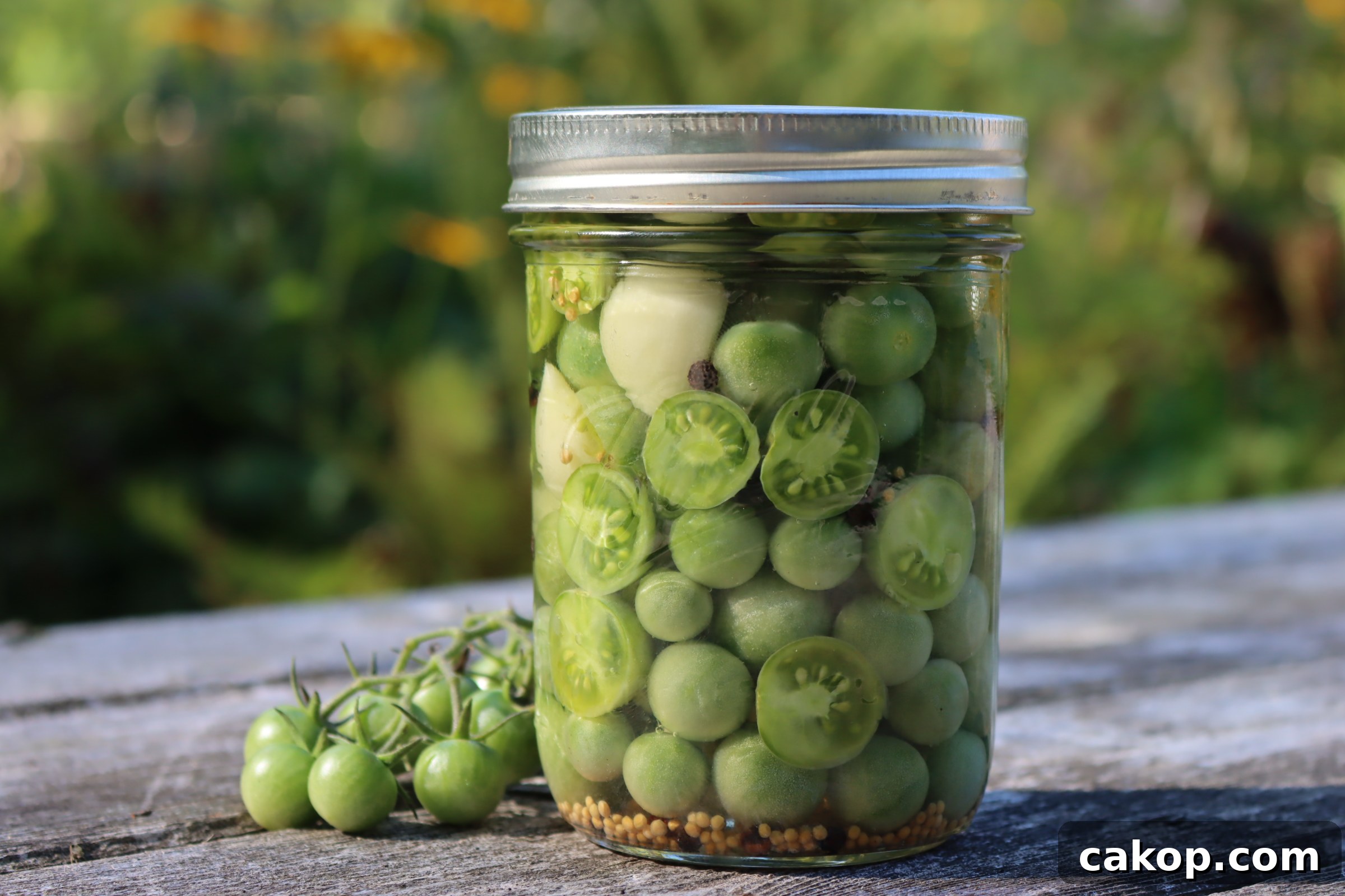 Pickled Green Tomatoes