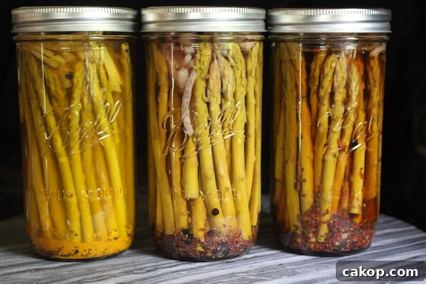 Pickled Asparagus
