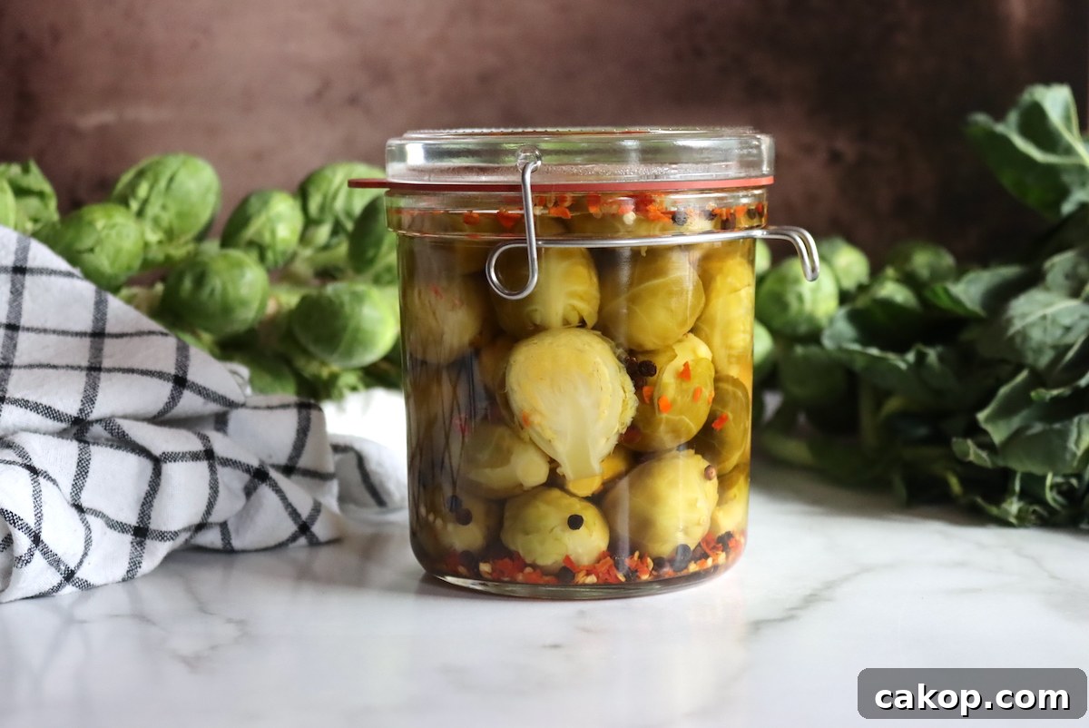 Pickled Brussels Sprouts