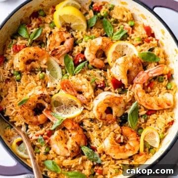 Prawn rice in tomato sauce