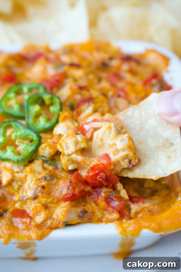 Creamy Chicken & Jalapeno Dip Paleo Chicken Jalapeno DIp