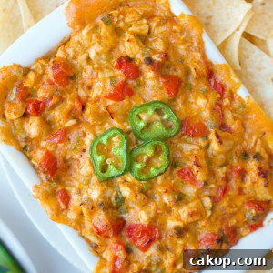 Creamy Jalapeño Chicken Dip Recipe for Parties and Game Day 3 img 16183 7