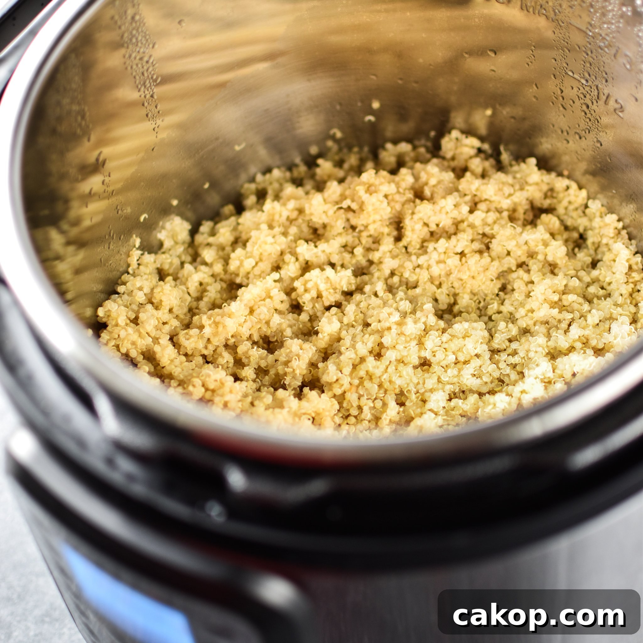 How to Cook Quinoa in the Instant Pot