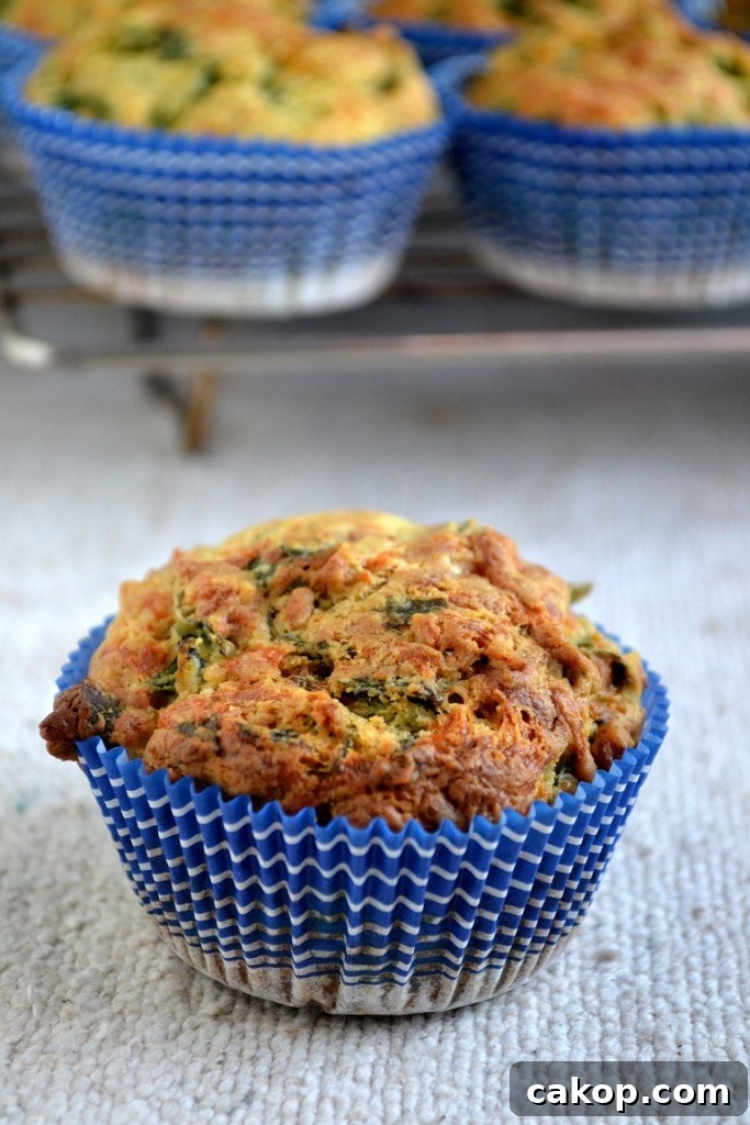 Spinach and Cheddar Egg-Free Muffins Recipe 2 Spinach cheddar muffins