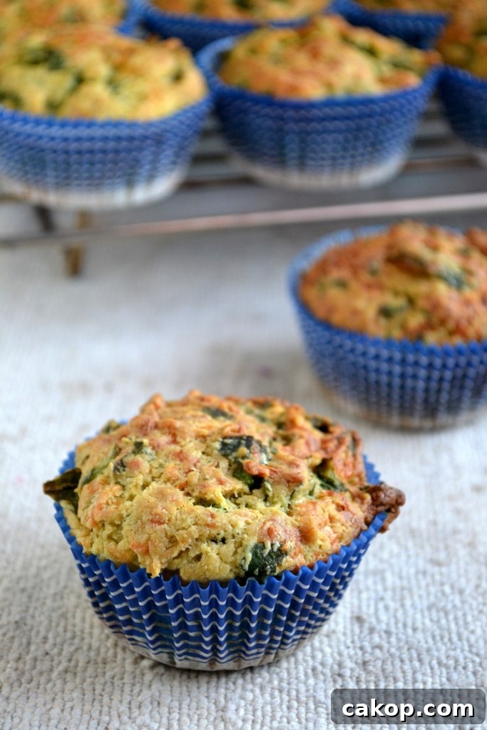 Spinach and Cheddar Egg-Free Muffins Recipe 14 Eggless Spinach Cheddar Muffins