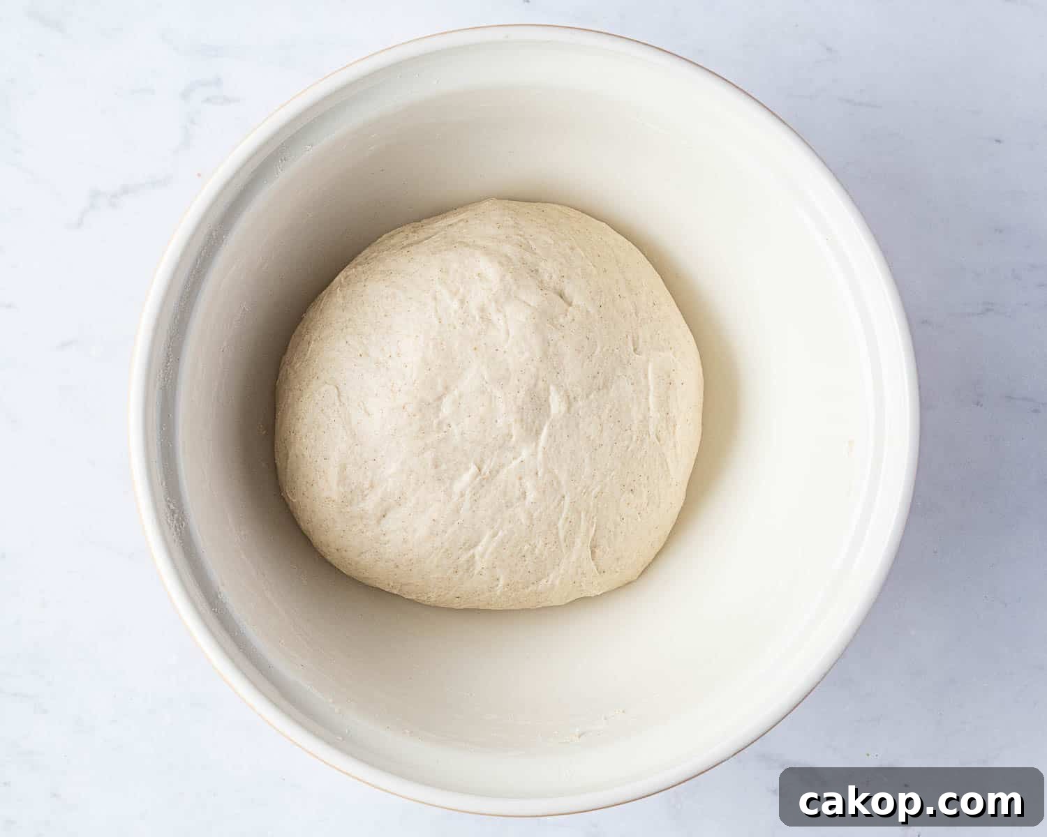 Step 2, the kneaded dough.