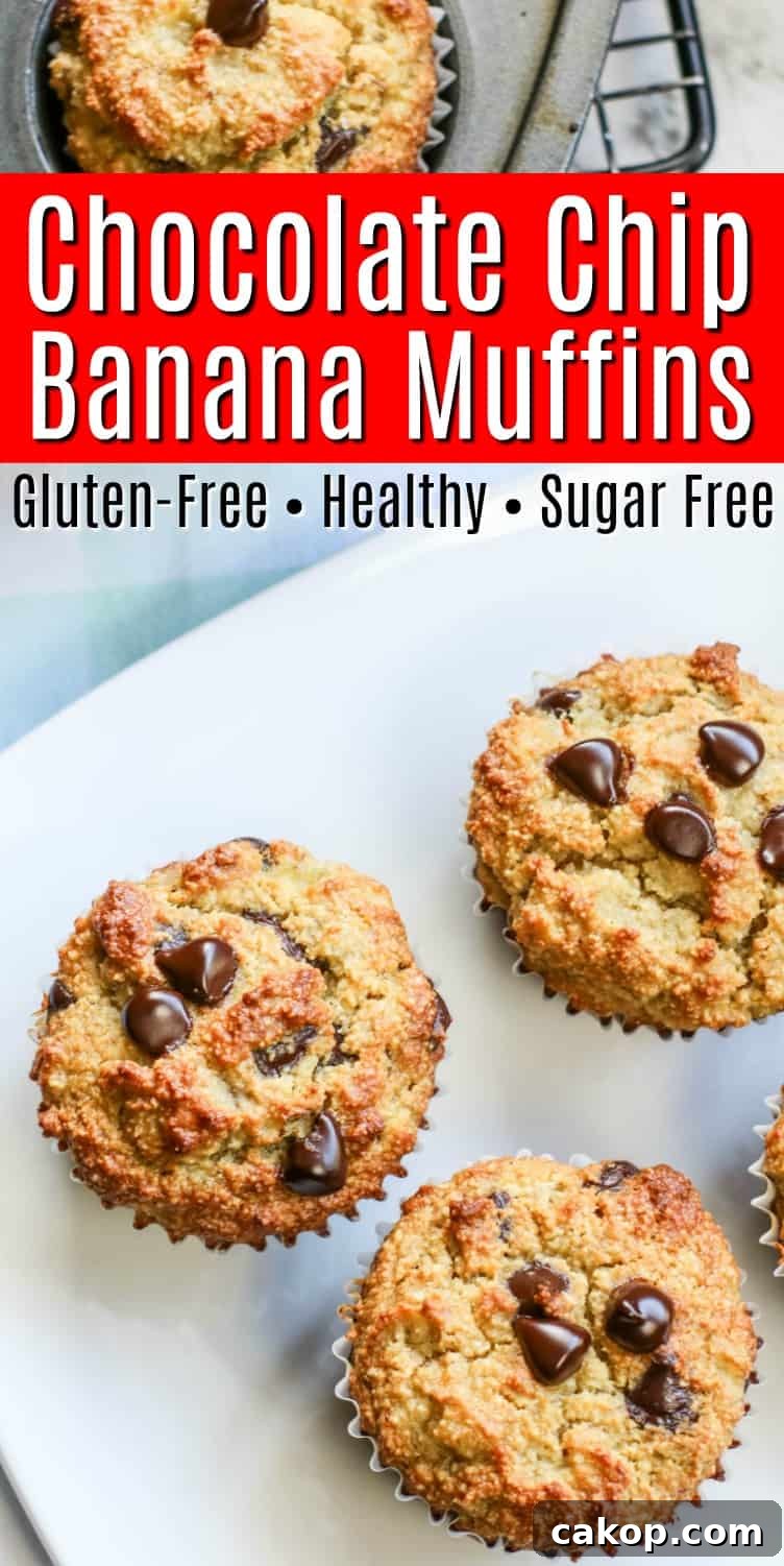 Gluten-Free Banana Chocolate Chip Muffins That Stay Moist 12 Chocolate Chip Banana Muffins