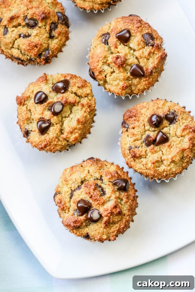 Gluten-Free Banana Chocolate Chip Muffins That Stay Moist 4 Gluten-Free Banana Chocolate Chip Muffins
