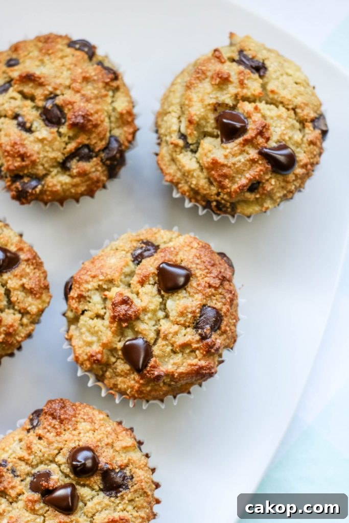 Gluten-Free Banana Chocolate Chip Muffins That Stay Moist 6 Gluten-Free Banana Chocolate Chip Muffins