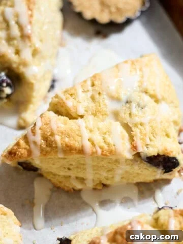 Sourdough Lemon Blueberry Scones on white parchment paper.