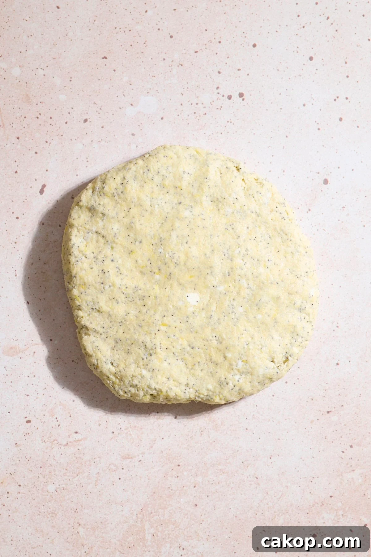 Sourdough Lemon Poppy Seed Scones Recipe for Tender, Tangy Bakes 8 Dough pressed into a disk.
