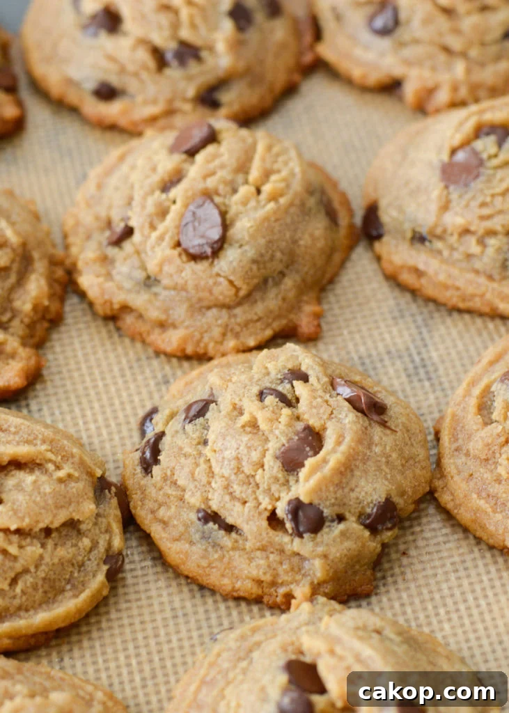Soft and chewy Keto Peanut Butter Cookies loaded with dark chocolate chips