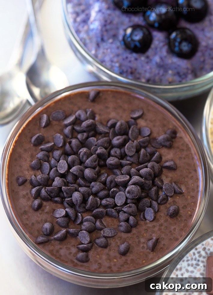 Chocolate Chia Pudding