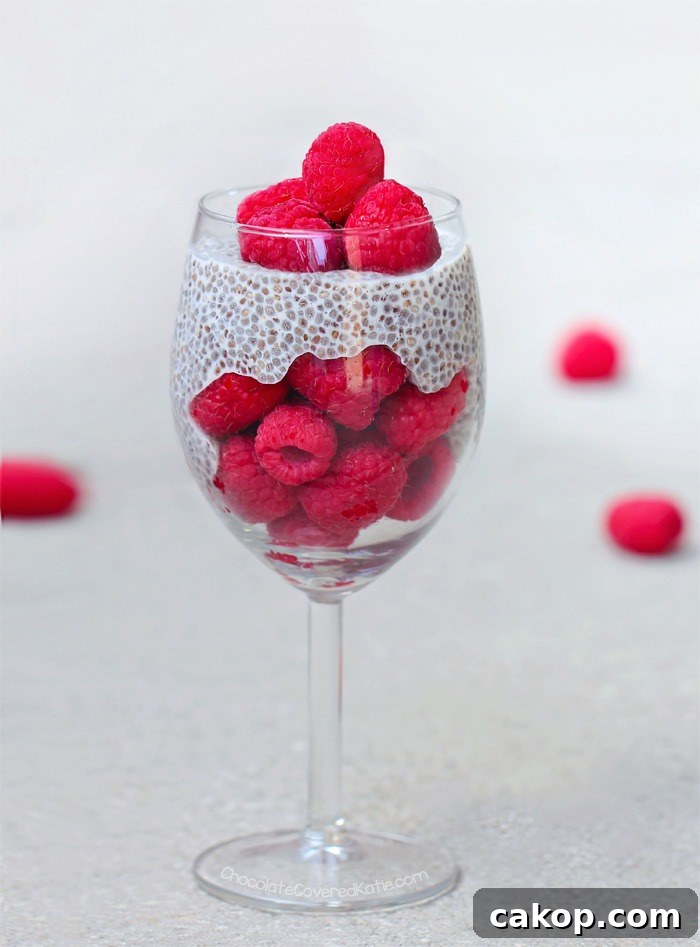 Chia Seed Pudding Recipe