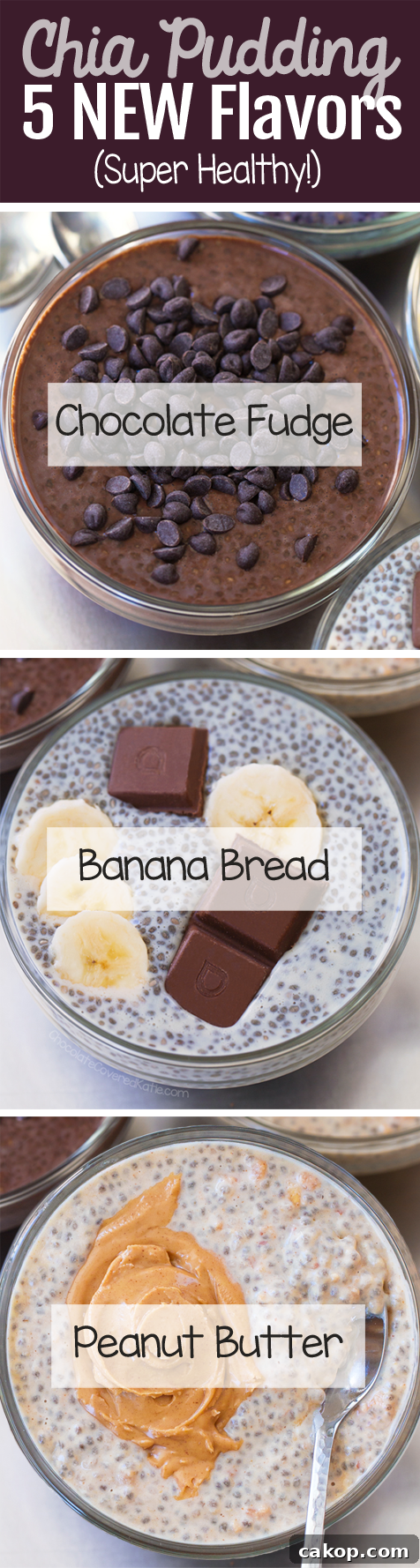 Easy Chia Pudding Recipes, for a healthy vegan breakfast. Flavors include banana, peanut butter, chocolate, and vanilla. 