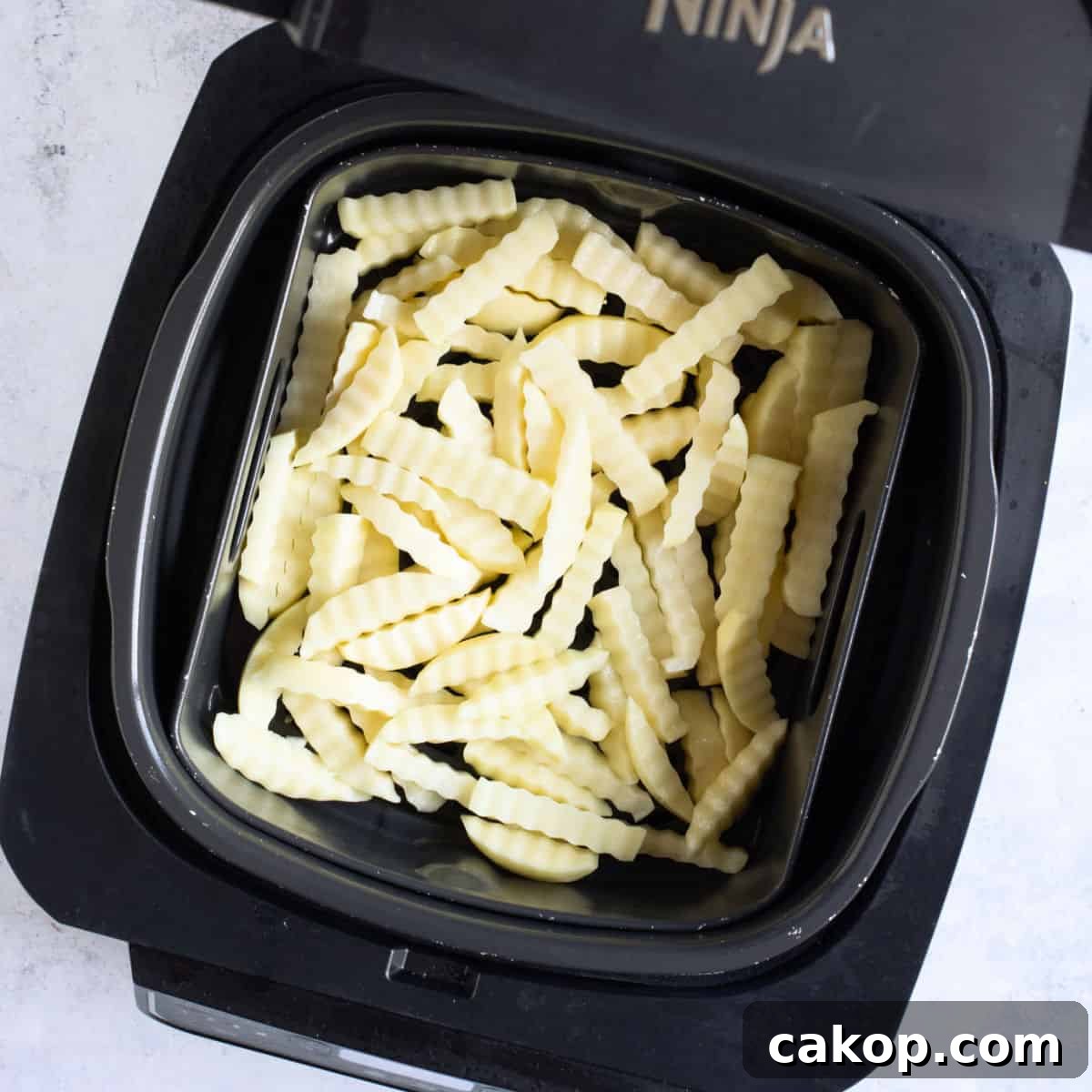 Uncooked chips in air fryer basket.