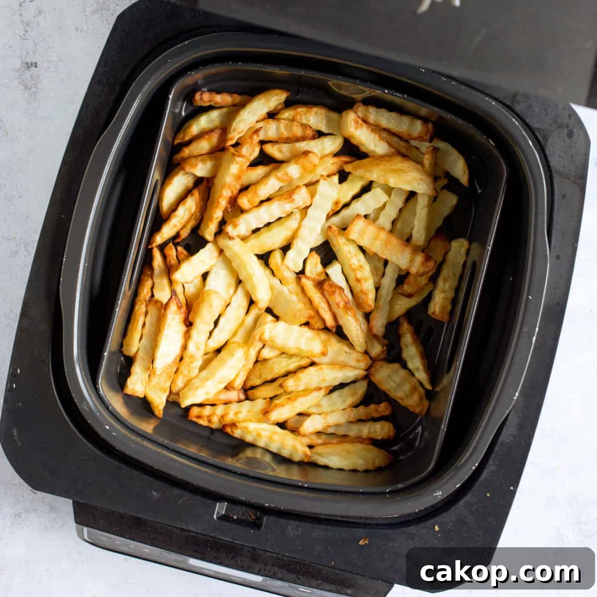 Air fried chips in air fryer basket.