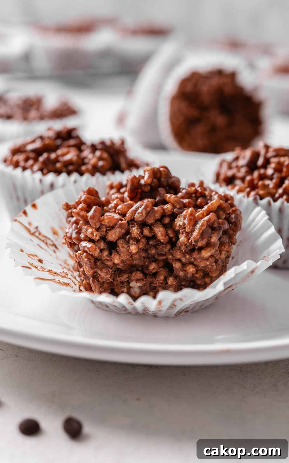 rice crispy cakes with chocolate.