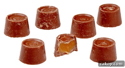 Rolo close-up
