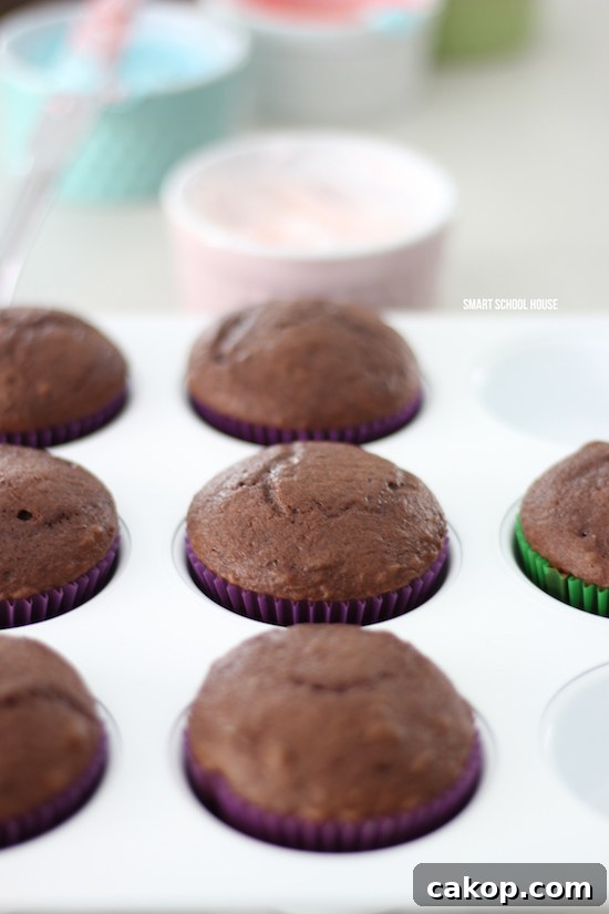 Chocolate cupcakes