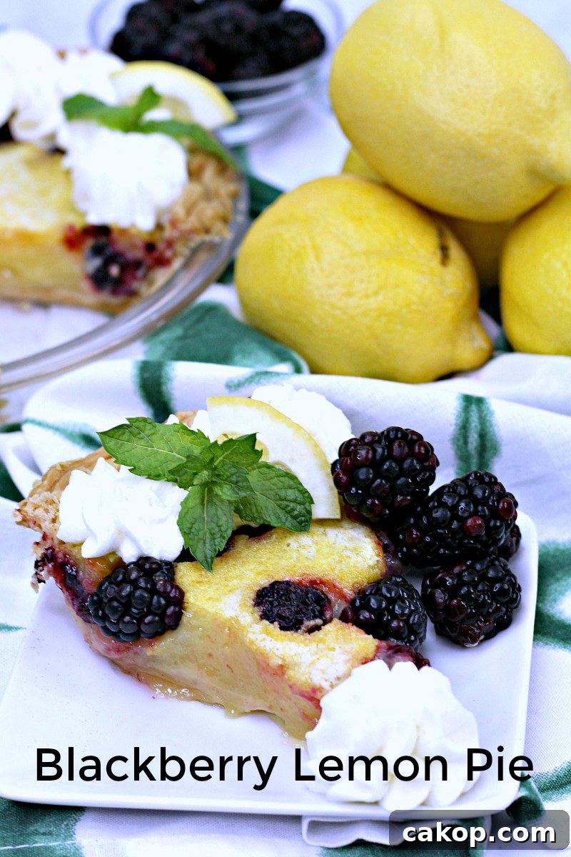 pin lemon blackberry chess pie