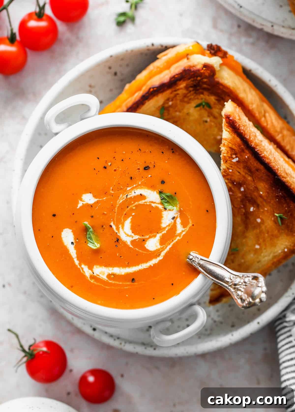 tomato soup