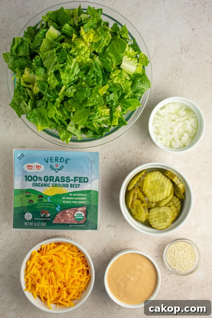 Ingredients to make big mac salad laid out on a tabletop.