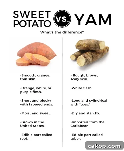  Sweet Potato 