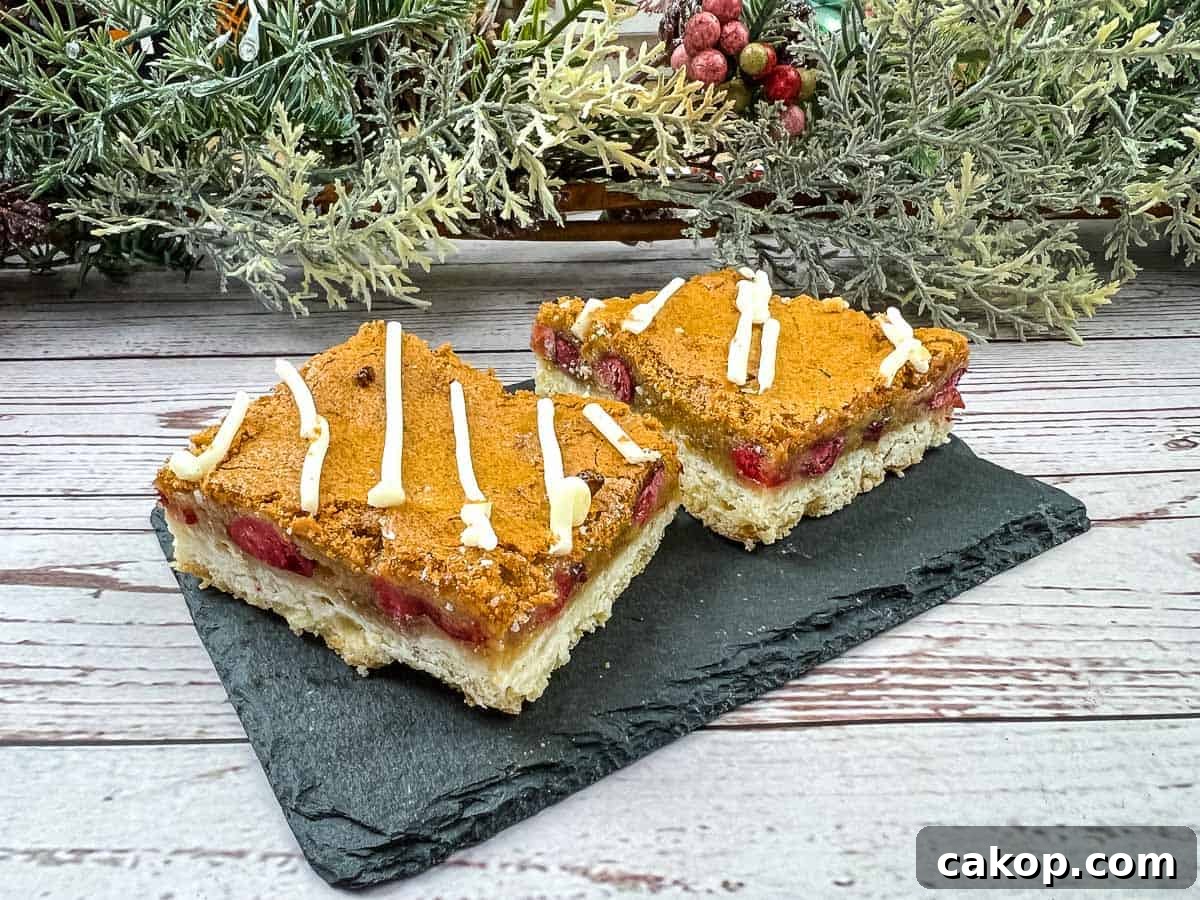 Two squares of cranberry bars on a slate plate.