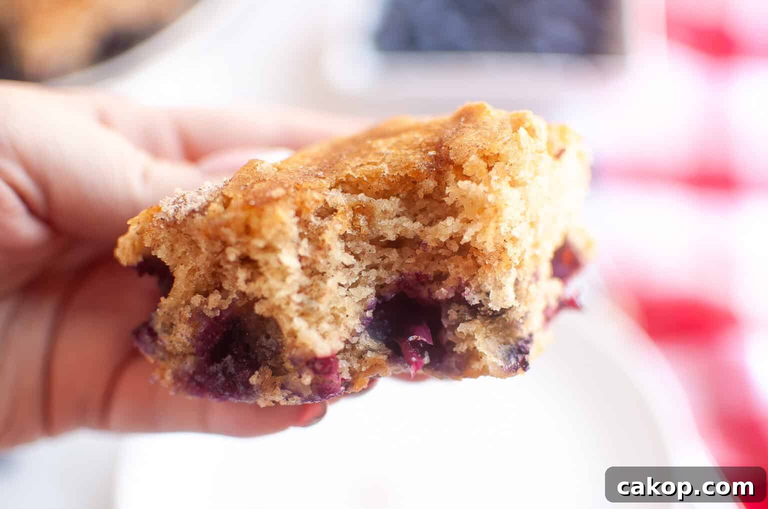 A hand holding a partially eaten piece of classic blueberry boy bait, showing its moist interior and visible blueberries.